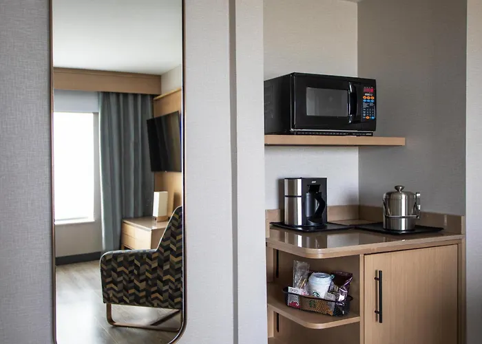 Hotel Sheraton Worthington 4*