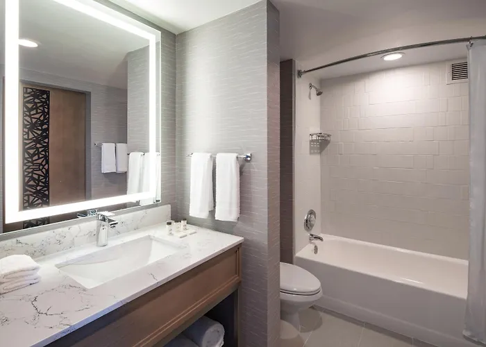 Hotel Sheraton Worthington 4*
